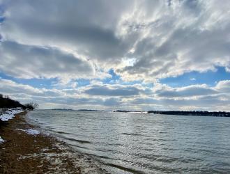 Nacton shore looking east